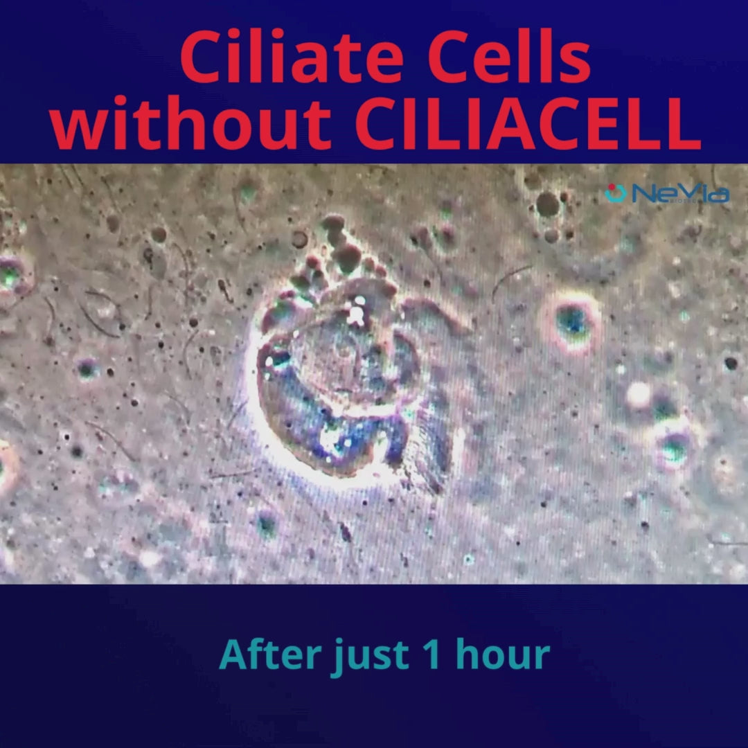 Carica video: CiliaCell Spray Nasale - Adulti